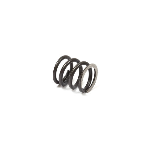 LO206 Valve Spring