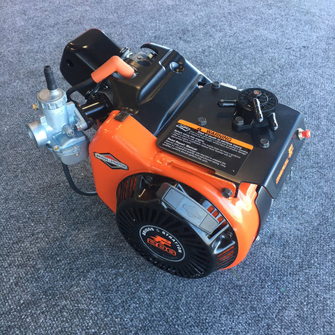 LO206 Briggs and Stratton Engine